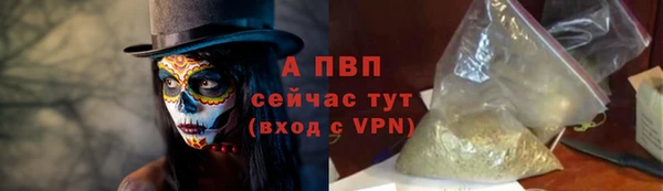 мяу мяу мука Горно-Алтайск