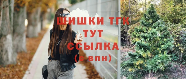 дмт Горнозаводск