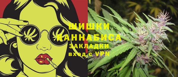 мдпв Вязьма
