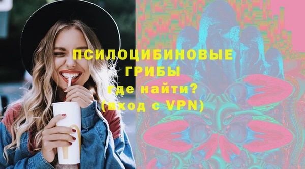 мяу мяу мука Горно-Алтайск