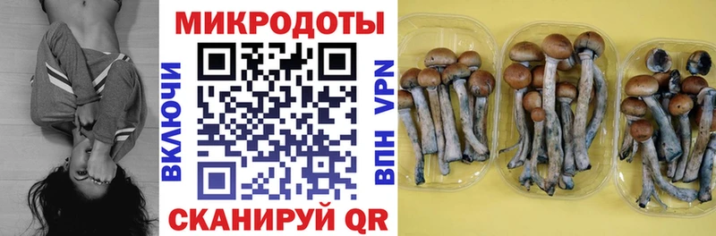 Галлюциногенные грибы MAGIC MUSHROOMS  закладки  Горно-Алтайск 